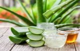 How to Use Aloe Vera For Acne: 5 Ways To Use Aloe Vera For Acne